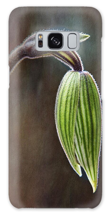 Orchid Bud Galaxy S8 Case featuring the photograph Orchid Bud by Dale Kincaid