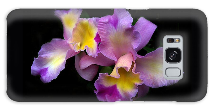 Flowers Galaxy Case featuring the photograph Orchid Embrace by Jessica Jenney