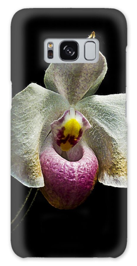 Orchid Galaxy Case featuring the photograph Orchid on Black by Bill Barber