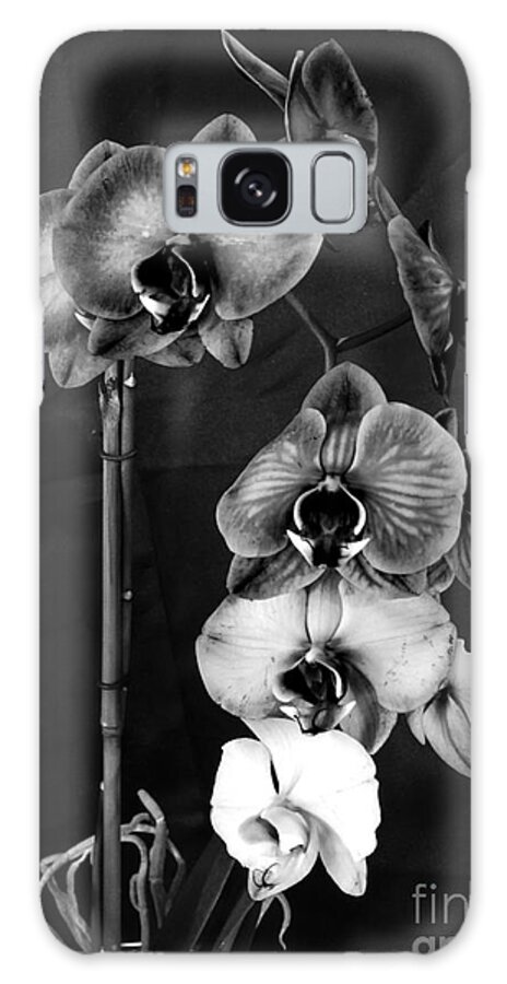 Flowers Galaxy Case featuring the photograph Orchids In Black And White by Donna Brown