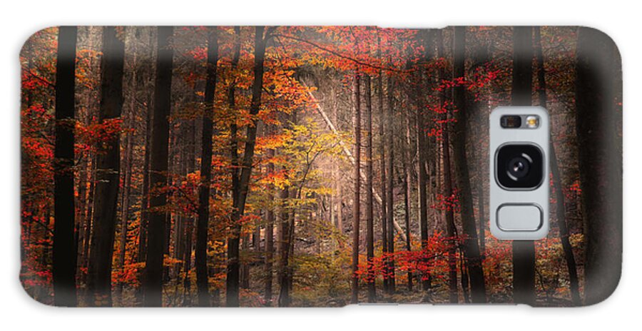 Forest Galaxy Case featuring the photograph Orton Forest by Philippe Sainte-Laudy