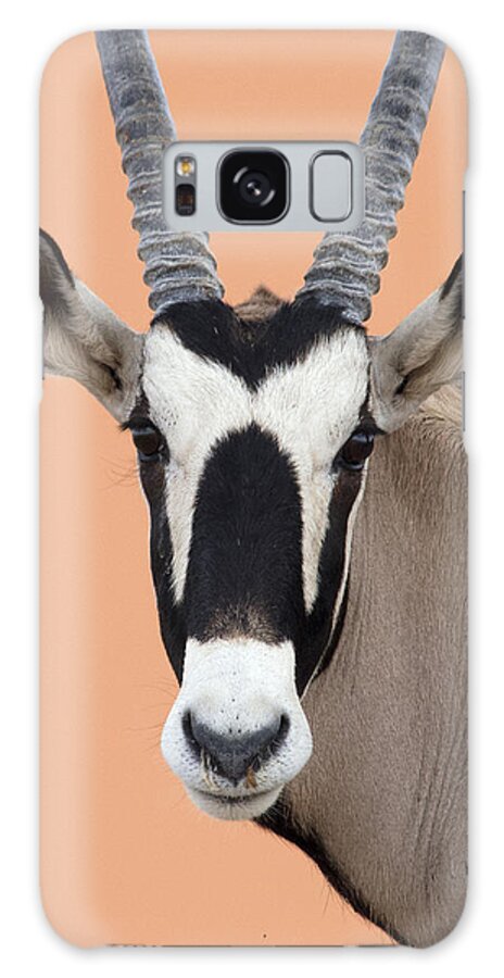 Nis Galaxy Case featuring the photograph Oryx Portrait Namibia by Alexander Koenders