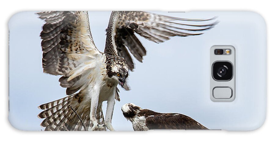 Maine Galaxy Case featuring the photograph Osprey Coming In For A Landing by Deborah Scannell