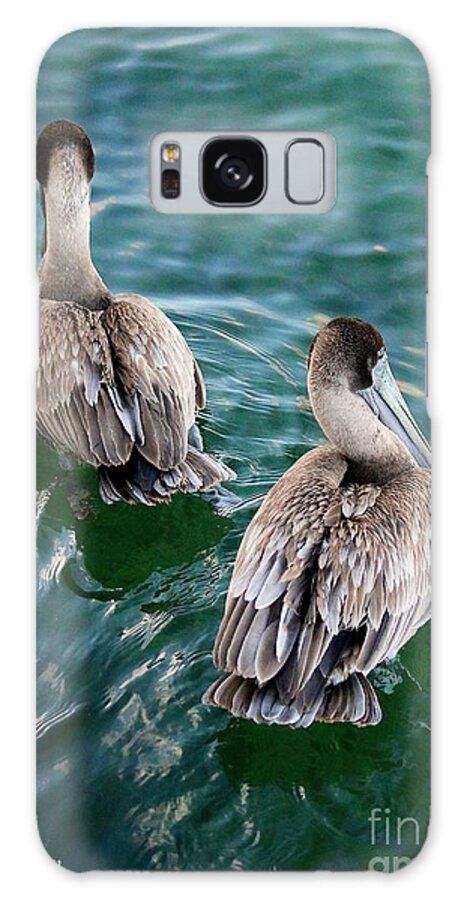Pelicans Galaxy Case featuring the photograph Out for a Swim by Veronica Batterson