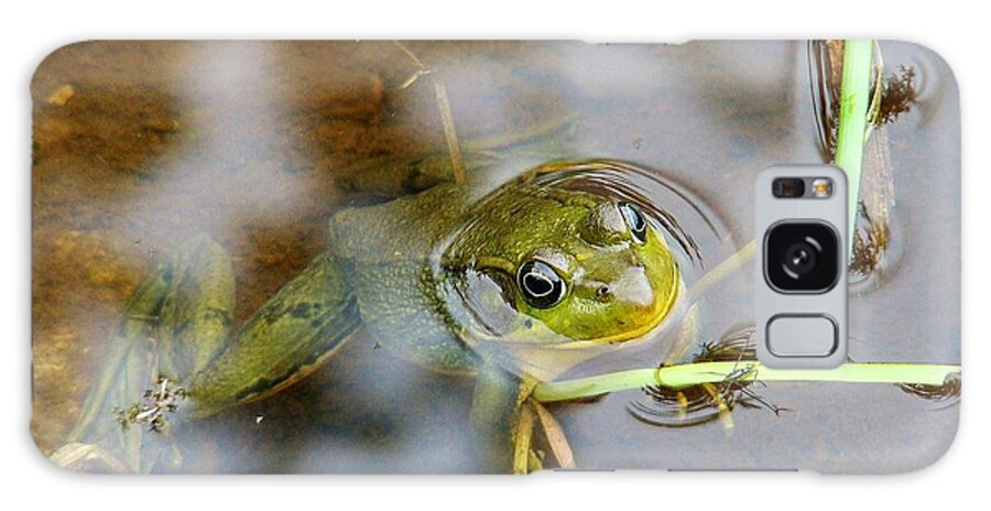 Frog Galaxy Case featuring the photograph Out For Some Fresh Air... And a Snack by Zinvolle Art