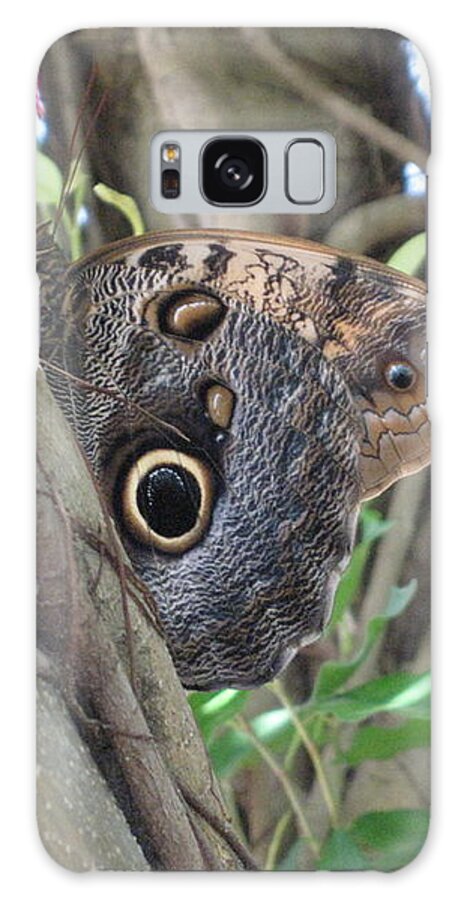 Owl Butterfly In Hiding. Hevi Fineart Galaxy Case featuring the photograph Owl Butterfly in Hiding by HEVi FineArt