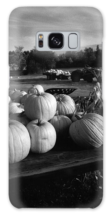 Pumpkins Galaxy Case featuring the photograph Oxford Pumpkins BW by Cindy McIntyre