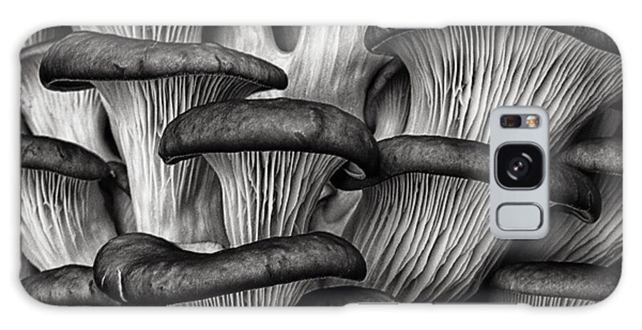 Fungus Galaxy Case featuring the photograph Oyster Mushrooms by Robert Woodward