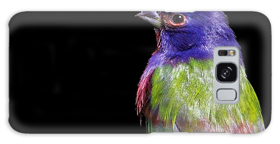 Painted Bunting Galaxy Case featuring the photograph Painted Bunting by Meg Rousher