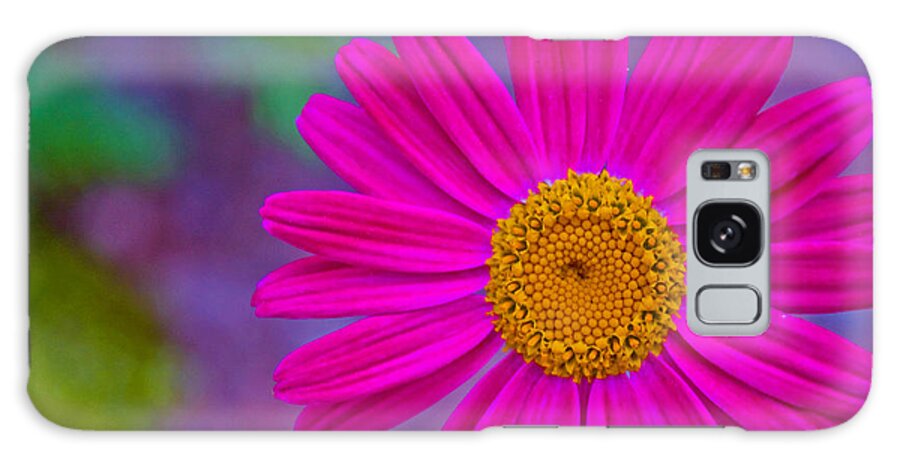 Flower Galaxy S8 Case featuring the photograph Painted Daisy by Barbara Schultheis