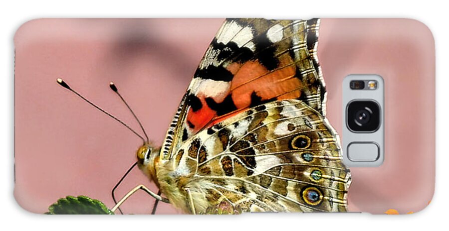 Butterfly Galaxy Case featuring the photograph Painted Lady Butterfly of Venice by Jennie Breeze