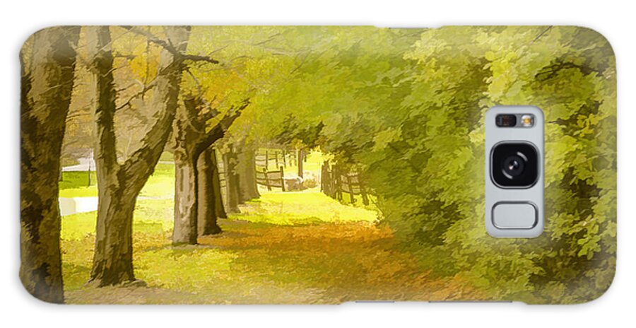 Painterly Forest Trail Galaxy Case featuring the photograph Painterly Pathway by Jim Lepard