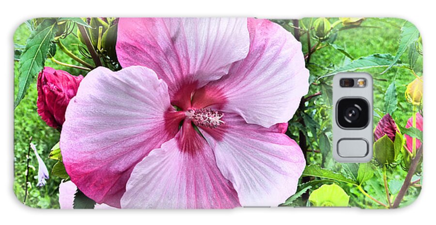 Gardens Galaxy Case featuring the photograph Painting Like Hibiscus Garden by Tina M Wenger