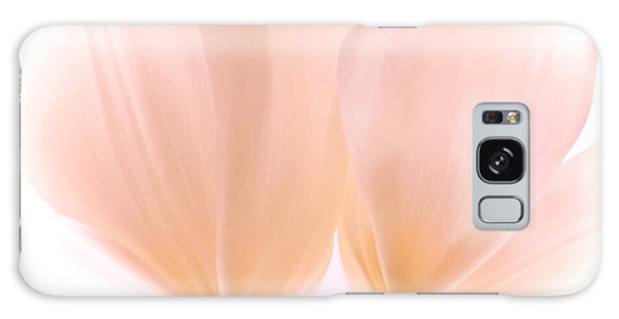 Flowers Galaxy Case featuring the photograph Pale Pink Tulips with Vignette by Phyllis Meinke