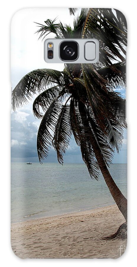 Beach Galaxy Case featuring the photograph Palm On The Beach by Christiane Schulze Art And Photography