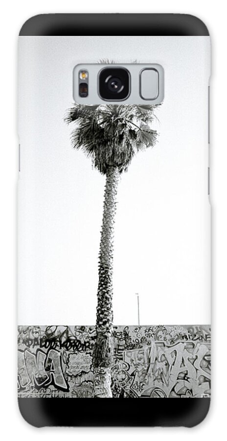 Graffiti Galaxy Case featuring the photograph Palm Tree And Graffiti by Shaun Higson