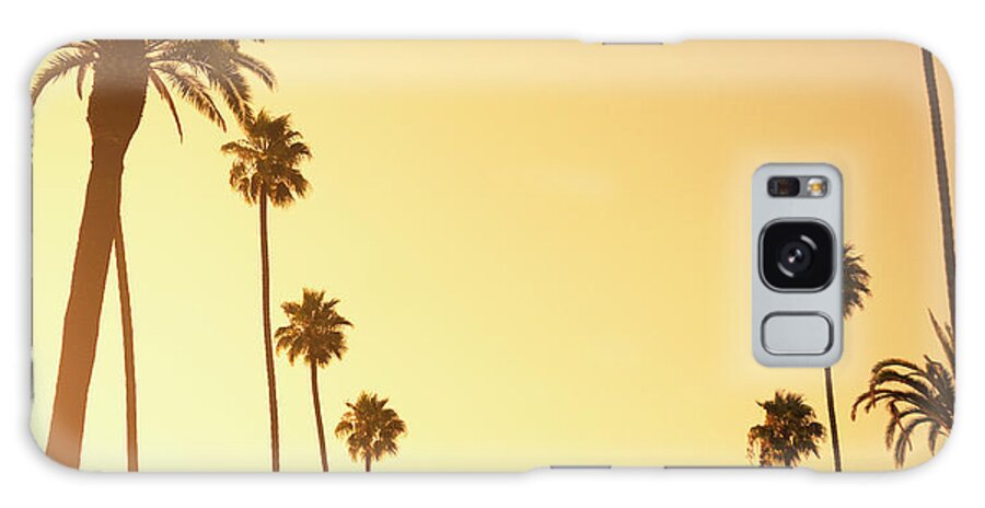 Sunset Strip Galaxy Case featuring the photograph Palm Tree At Sunset On Beverly Hills by Franckreporter