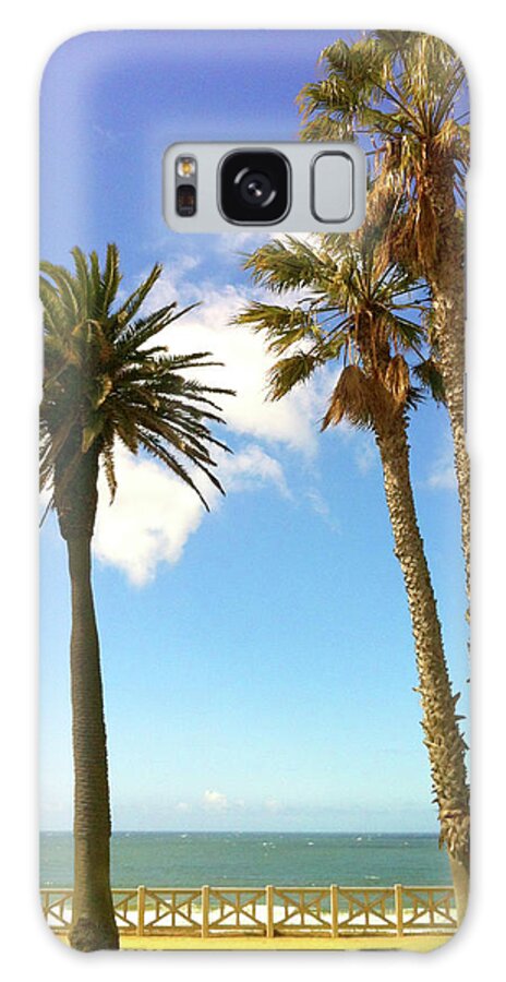 Tranquility Galaxy Case featuring the photograph Palm Trees In Park by Denise Taylor