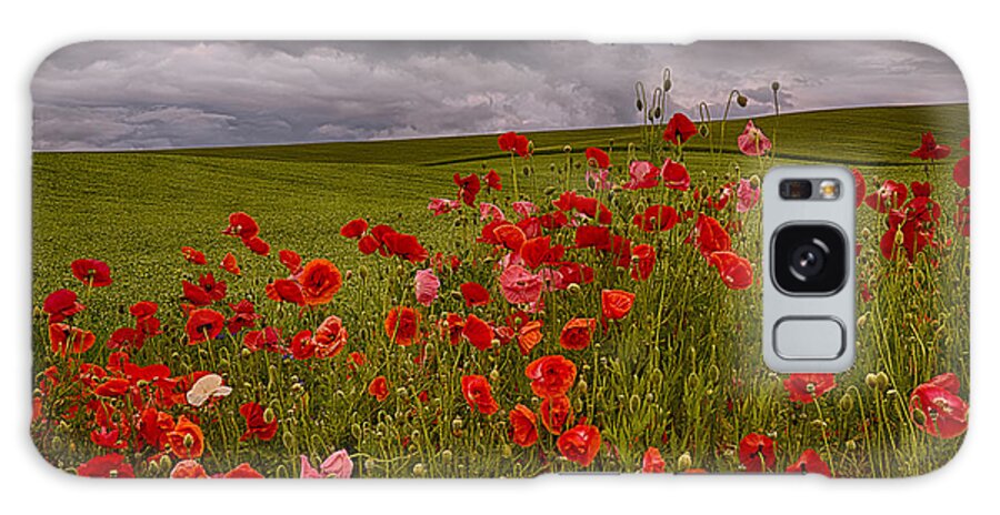 Poppies Galaxy Case featuring the photograph Palouse Poppies by Priscilla Burgers