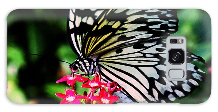 Butterfly House Galaxy S8 Case featuring the photograph Paper White Butterfly by Sandra Clark