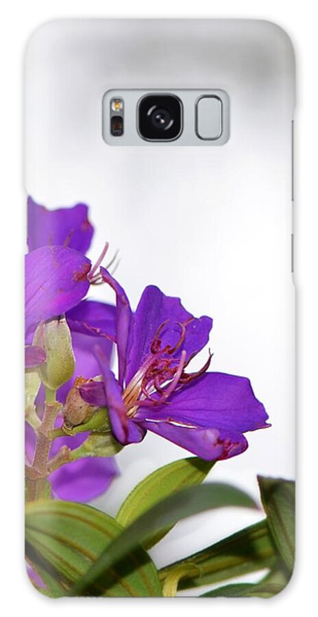 Purple Galaxy Case featuring the photograph Paradise Found - Floral Photography By Sharon Cummings by Sharon Cummings