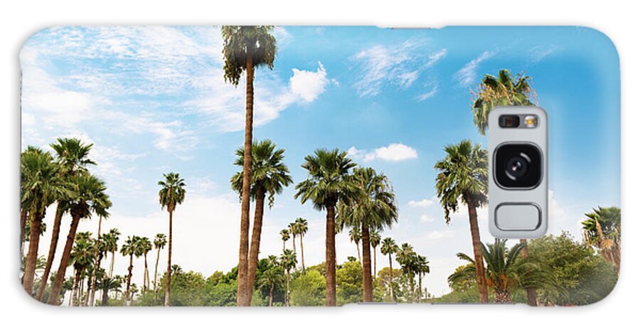 Arizona Galaxy Case featuring the photograph Park In Phoenix - Arizona by Franckreporter