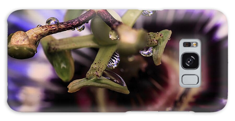 Passion Flower Photographs Galaxy Case featuring the photograph Passion Flower Droplets by Mary Lou Chmura