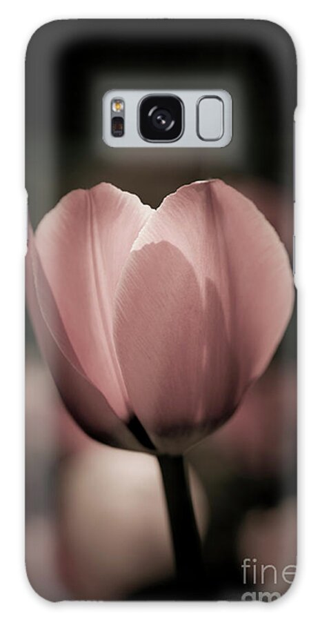 Elegant Galaxy Case featuring the photograph Pastel Pink Tulip in spring by Linda Matlow