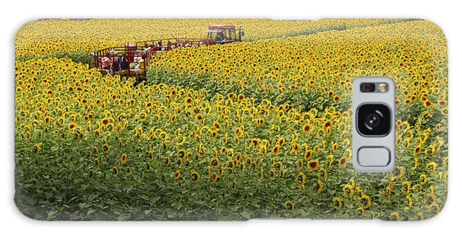 Sunflowers Galaxy Case featuring the photograph Path Through the Sunflowers by Nancy De Flon