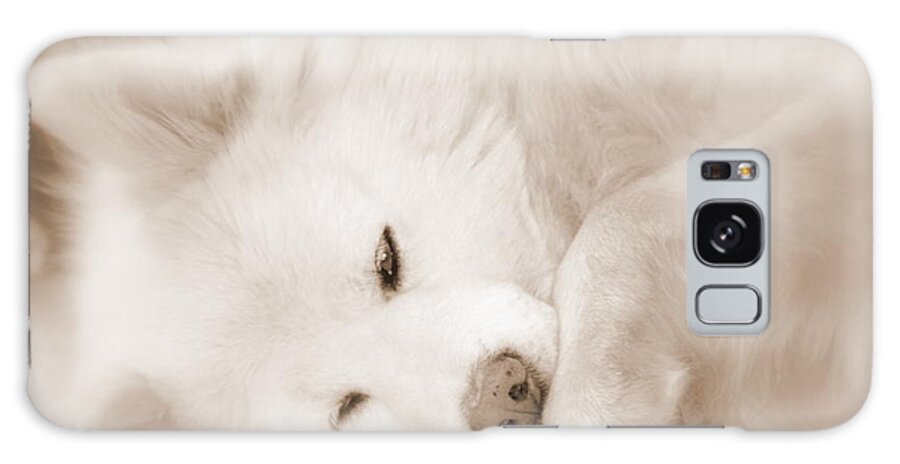 Samoyed Galaxy Case featuring the photograph Pawsome by Fiona Kennard
