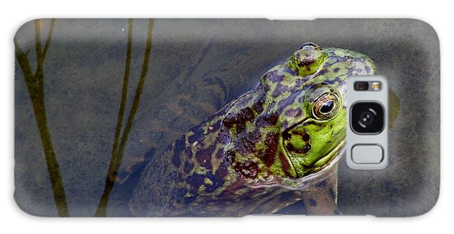 Golden Temple Galaxy Case featuring the photograph Peace Frog by LeLa Becker