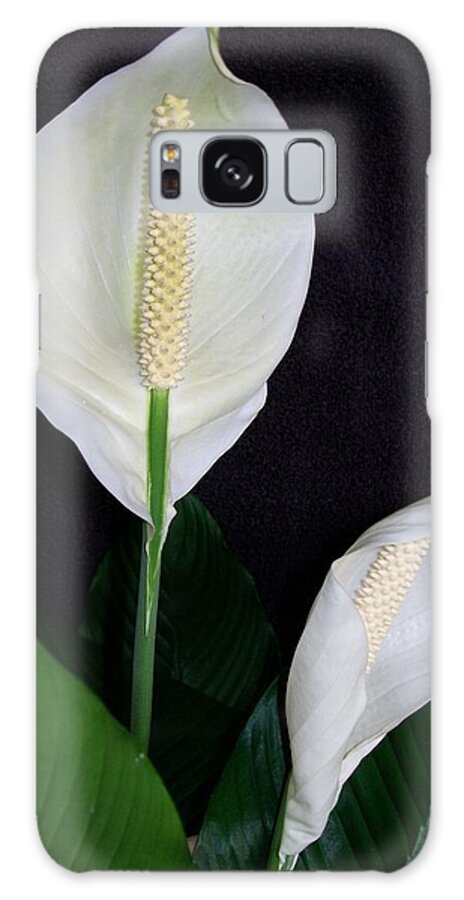 Lily Galaxy Case featuring the photograph Peace Lilies by Sharon Duguay
