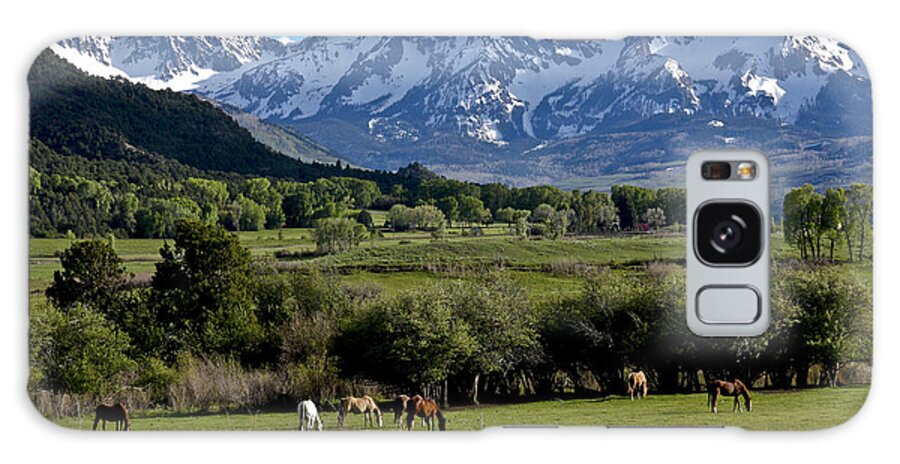 Horses Galaxy Case featuring the photograph Peaceful Pastures by Marta Alfred