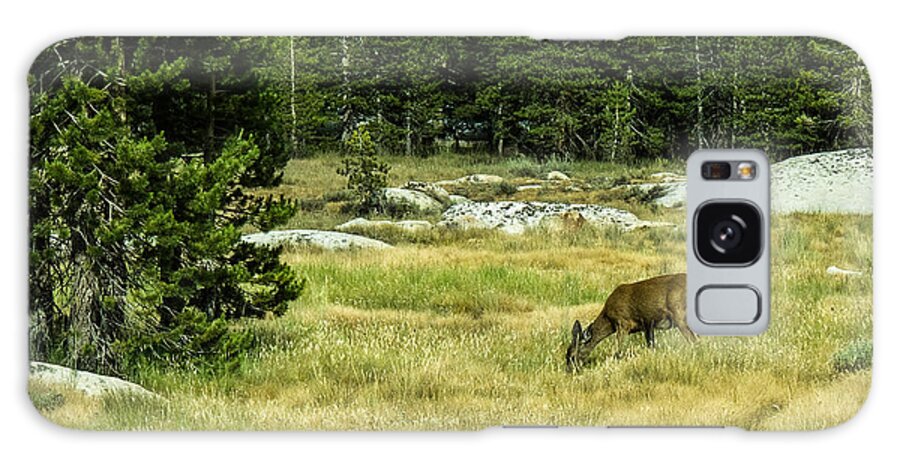 Deer Galaxy Case featuring the photograph Peacefully Grazing by Susan Eileen Evans