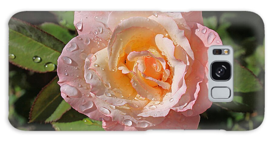 Flowers Galaxy Case featuring the photograph Peach Rose by Gary Kaylor