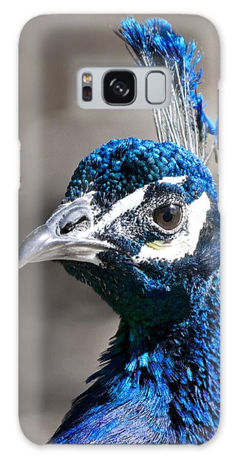 Peacock Galaxy Case featuring the photograph Peacock Blue by Stephen Johnson