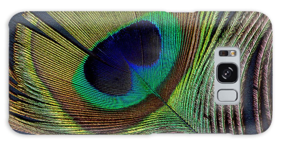 Peacock Feather Galaxy Case featuring the digital art Peacock Feather on Square by Ann Powell