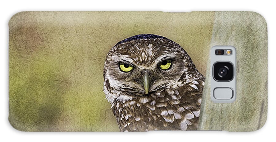Wildlife Galaxy Case featuring the photograph Peek A Boo - Burrowing Owl by Kim Hojnacki