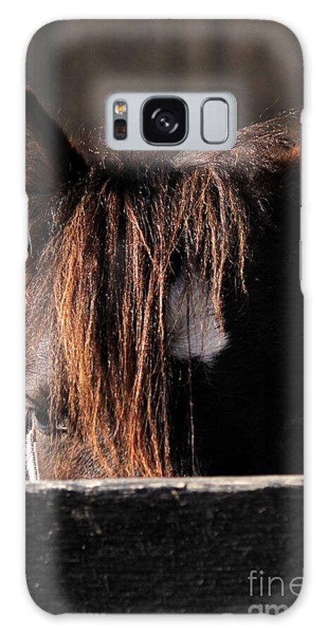 Pony Galaxy Case featuring the photograph Peek-a-Boo Pony by Janice Byer