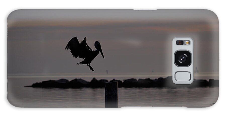 Pelican Galaxy Case featuring the photograph Pelican Landing by Leticia Latocki