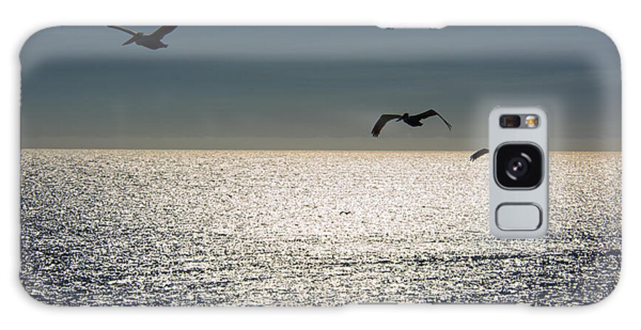 Pelicans Galaxy Case featuring the photograph Pelicans in Flight by Erika Fawcett