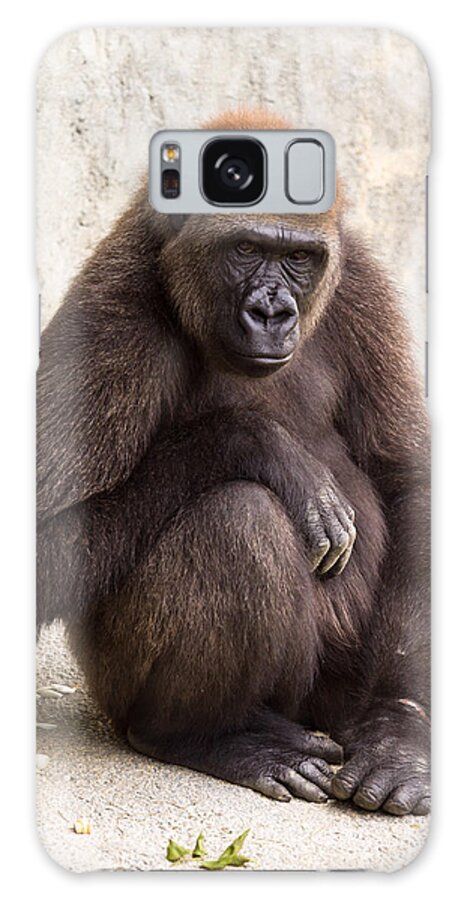 Africa Galaxy Case featuring the photograph Pensive Gorilla by Raul Rodriguez