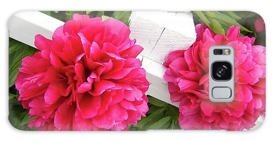 Resting Flowers Galaxy Case featuring the photograph Peonies Resting on White Fence by Barbara A Griffin