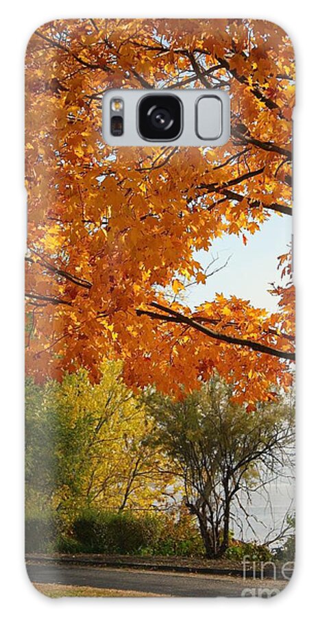 Peoria Galaxy Case featuring the photograph Peoria Riverfront Park in Autumn by Veronica Batterson