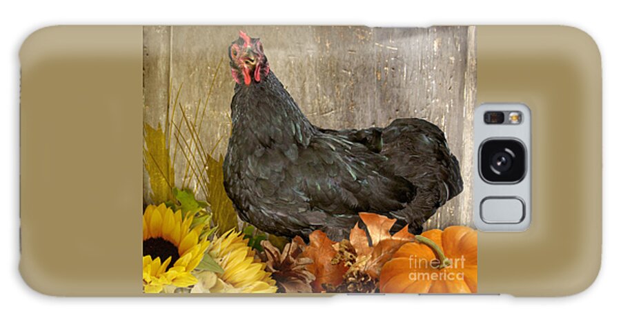 Chicken Galaxy Case featuring the photograph Pepper's Autumn Stroll by Donna Brown