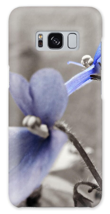 Periwinkle Petals Galaxy Case featuring the photograph Periwinkle Petals by Dark Whimsy