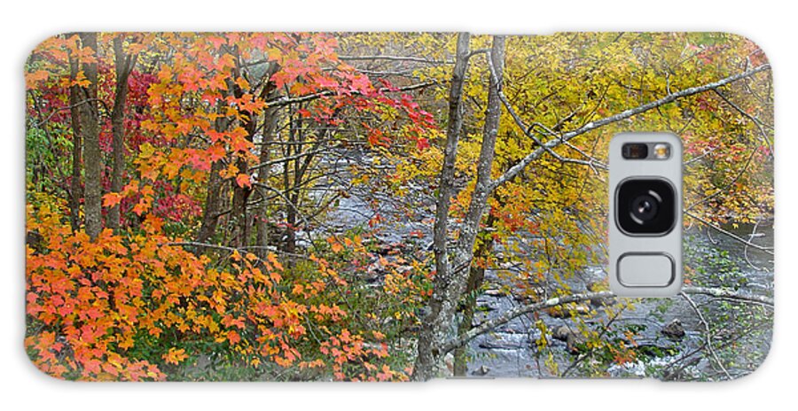 Creek Galaxy S8 Case featuring the photograph Perkiomen Creek - Perkiomenville PA - Autumn Foliage by Carol Senske