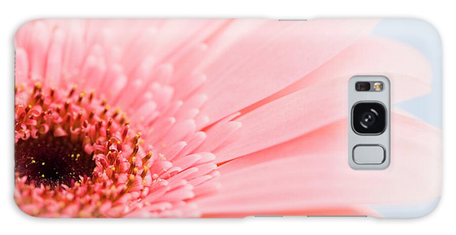 Petal Galaxy Case featuring the photograph Petals And Head Of Pink Daisy by Vstock