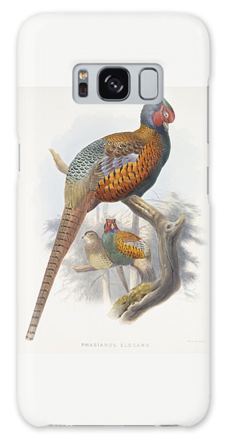 Pheasant Galaxy Case featuring the painting Phasianus Elegans Elegant Pheasant by Daniel Girard Elliot