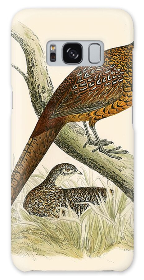 Birds Galaxy Case featuring the painting Pheasant by Beverley R Morris